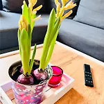 - Kamin & Garten - Hunde Willkommen * إيزيناخ