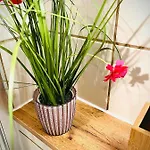 - Kamin & Garten - Hunde Willkommen شقة إيزيناخ