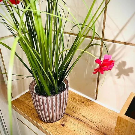 - Kamin & Garten - Hunde Willkommen Apartamento Eisenach