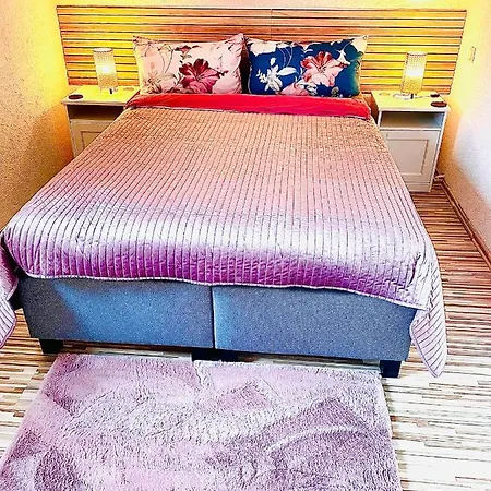 Apartment Schoene Ruhige - In Mit Kamin - Nahe Karolinentalbruecke - Hund Ja *