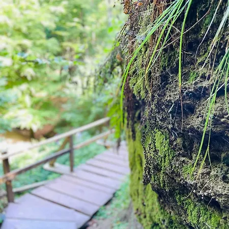 Appartement - Kamin & Garten - Hunde Willkommen
