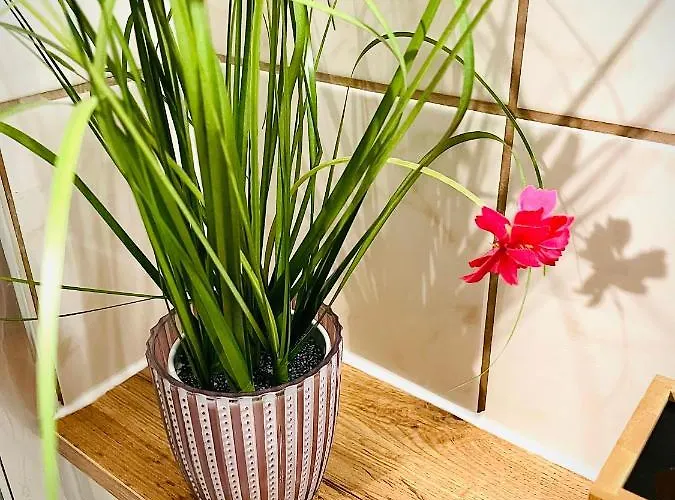 - Kamin & Garten - Hunde Willkommen Appartement Eisenach