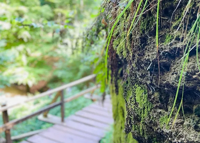 Appartement - Kamin & Garten - Hunde Willkommen