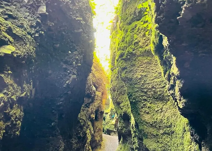 - Kamin & Garten - Hunde Willkommen *